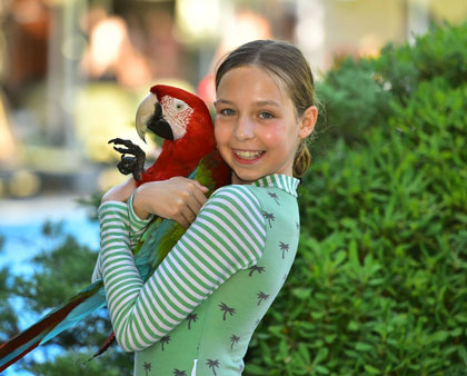 Emily

Clear aligners

9 months

We&rsquo;ve had such a positive experience with Pallant and Dr. Alastair. Our 11-year-old daughter needed her front teeth straightened, and thanks to the excellent care and guidance from Dr. Alastair and the whole team, her teeth were beautifully aligned in just 9 months.

From the very first consultation, we felt reassured and supported. The staff are welcoming, professional, and always take the time to explain each step clearly. Dr. Alastair was fantastic with our daughter&mdash;gentle, encouraging, and very skilled in making the whole process smooth and stress-free.

We couldn&rsquo;t be happier with the results and the confidence it has given our daughter. We would highly recommend Pallant to anyone considering orthodontic treatment.
